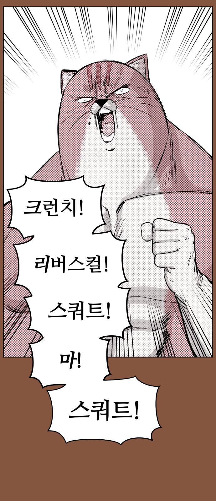 1735337500445o1mwji1oebs.jpg