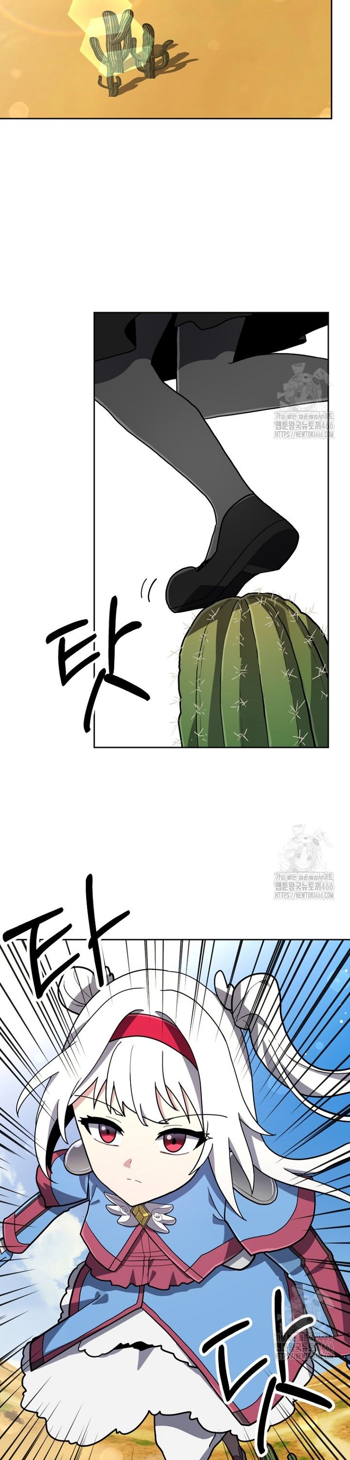 1736631610399i5uxs5fkzj.jpg