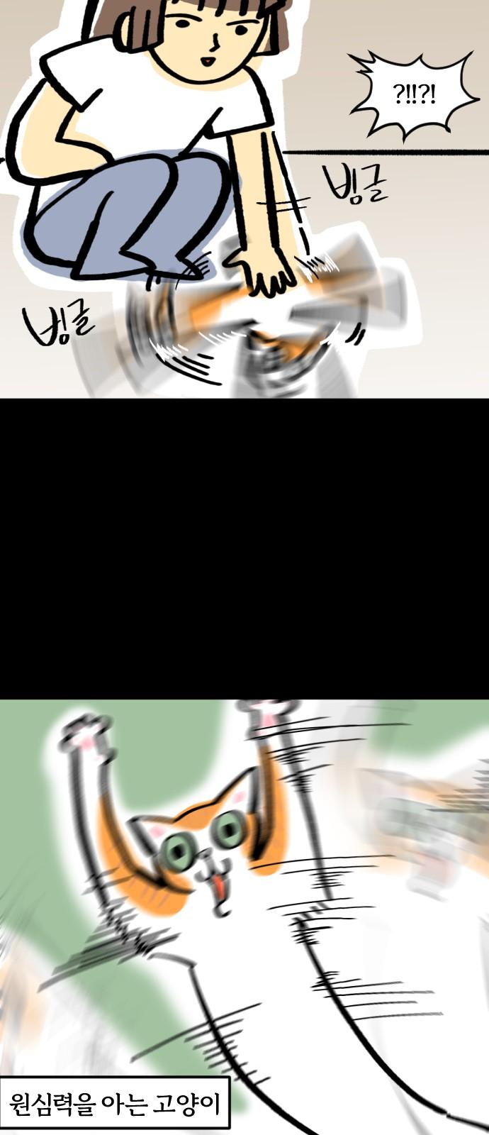 17416563305833js0r3fp1dj.jpg