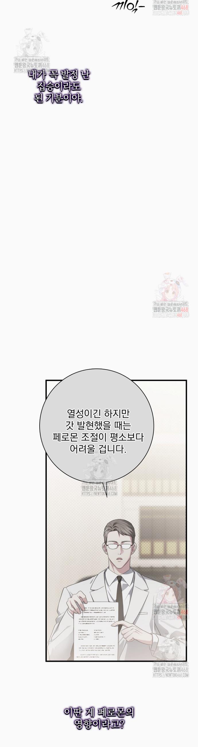 1747101956026bt494ty2jgr.jpg