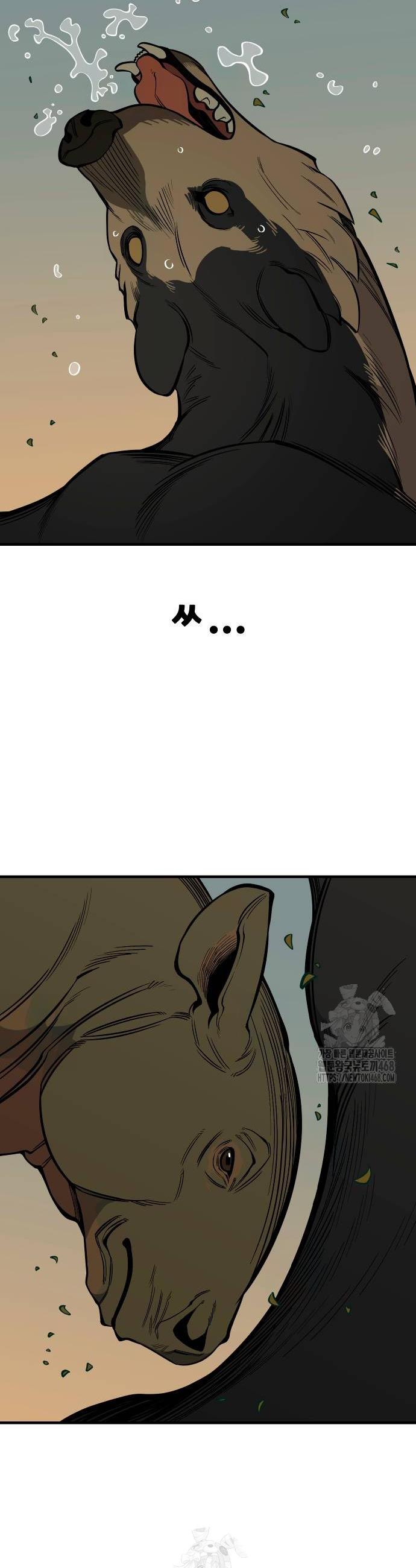 004.jpg