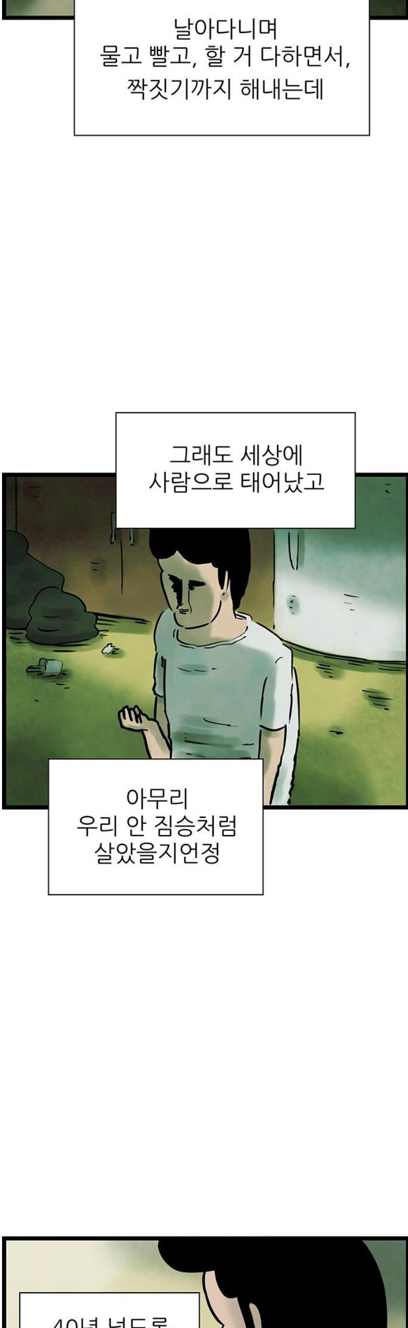 009.jpg