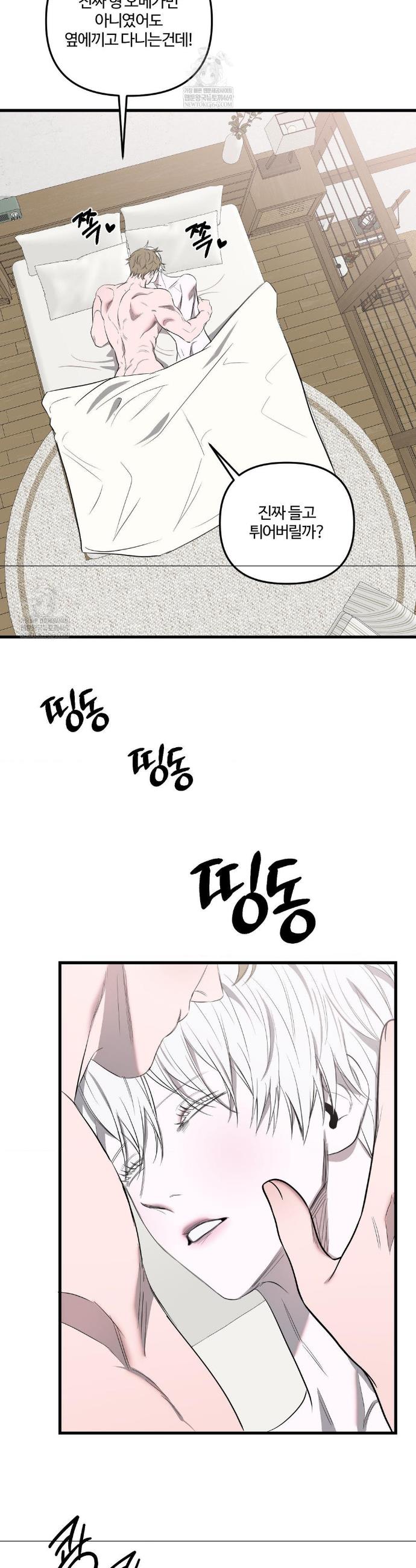 005.jpg