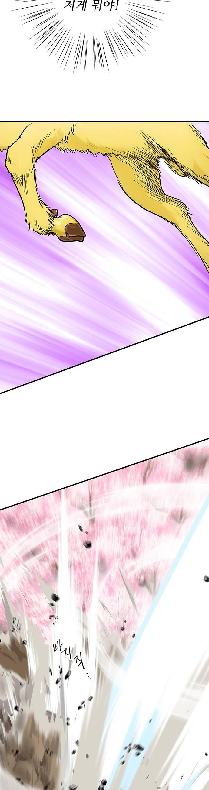 017.jpg