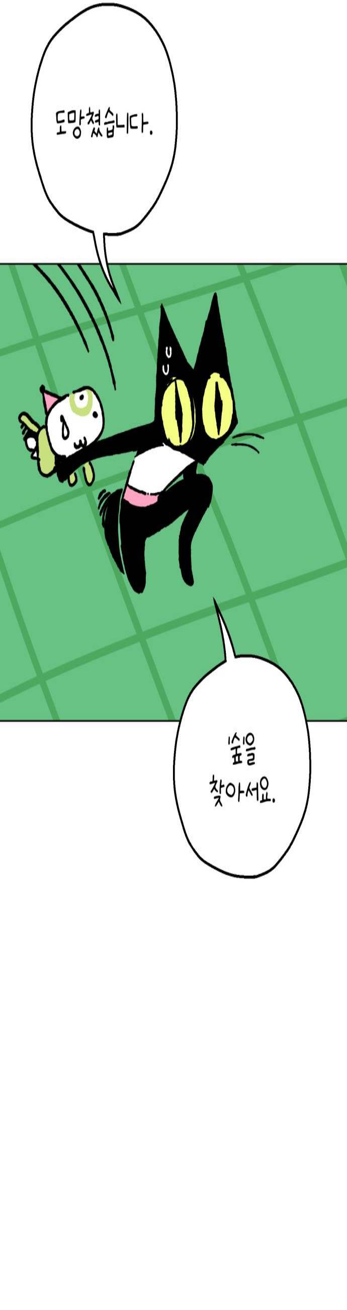 003.jpg