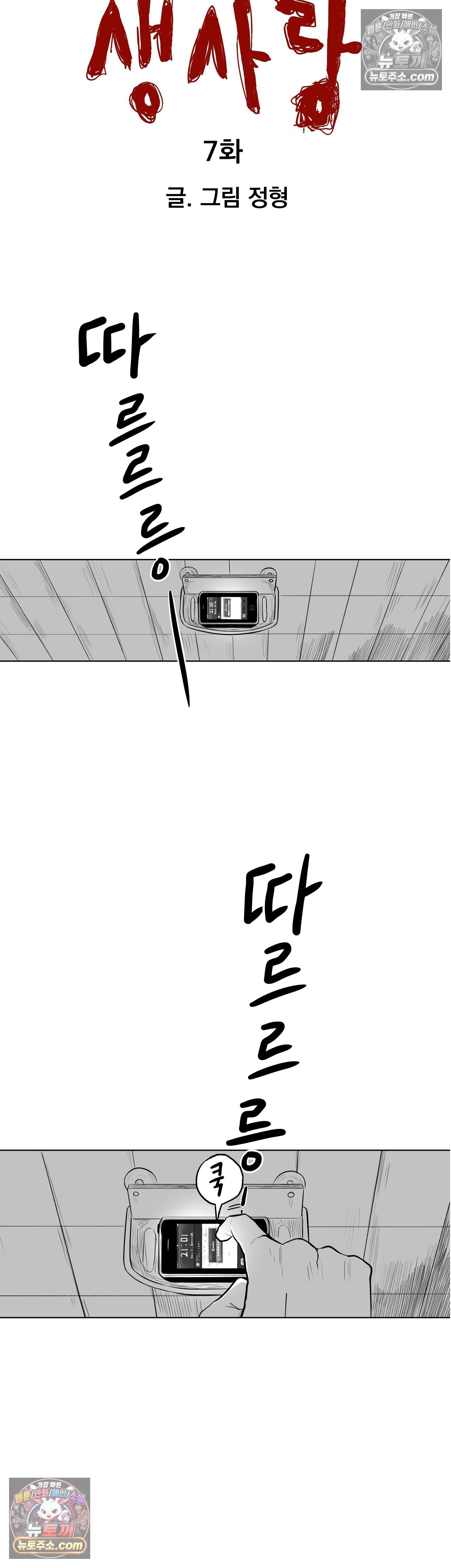 005.jpg